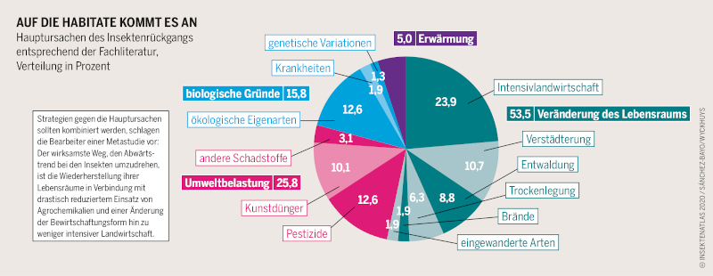 Gründe für den Insektenschwund