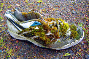 Trailrunning: Auf das richtige Schuhwerk kommt es an